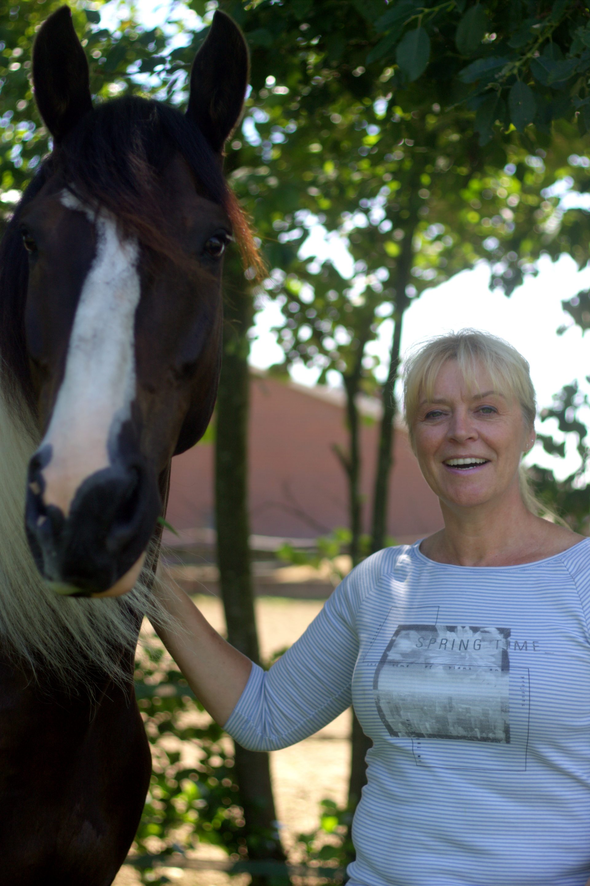 begeleiden,coachen met paarden