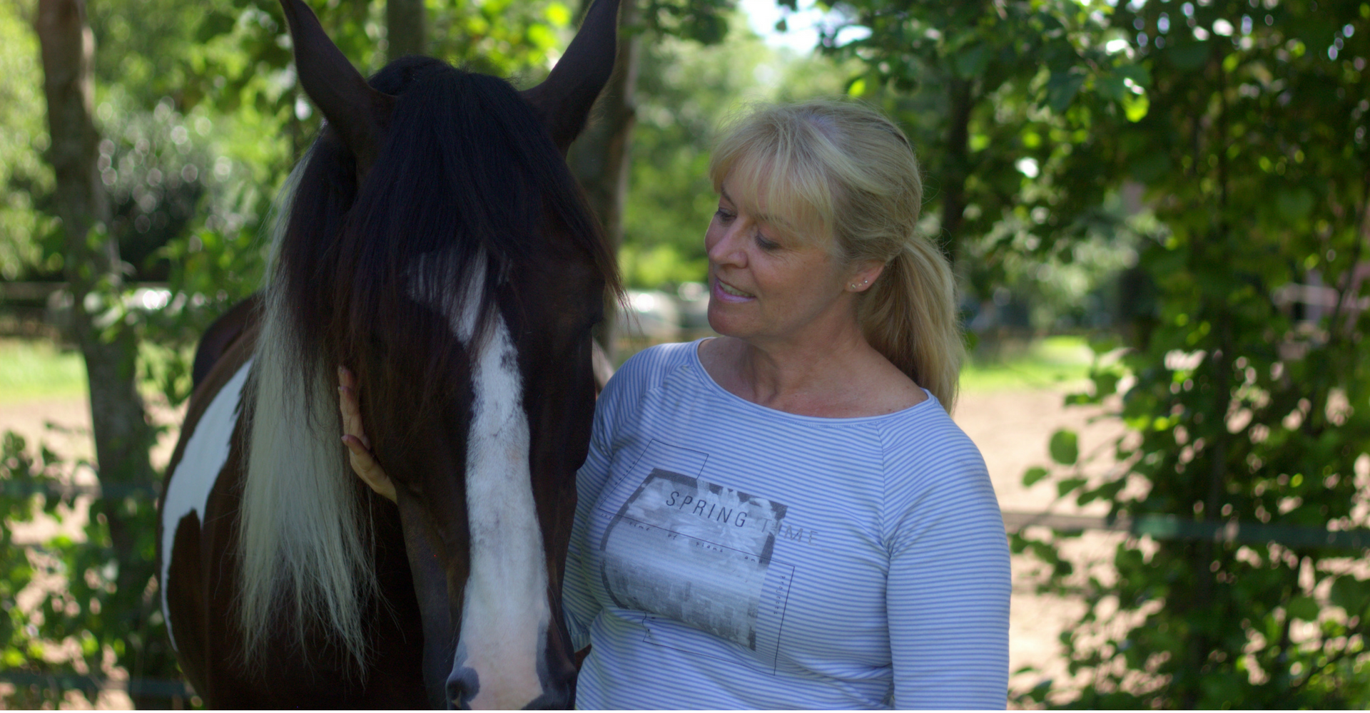 Je bekijkt nu Systemische opstellingen met paarden:  Bron van kennis en wijsheid