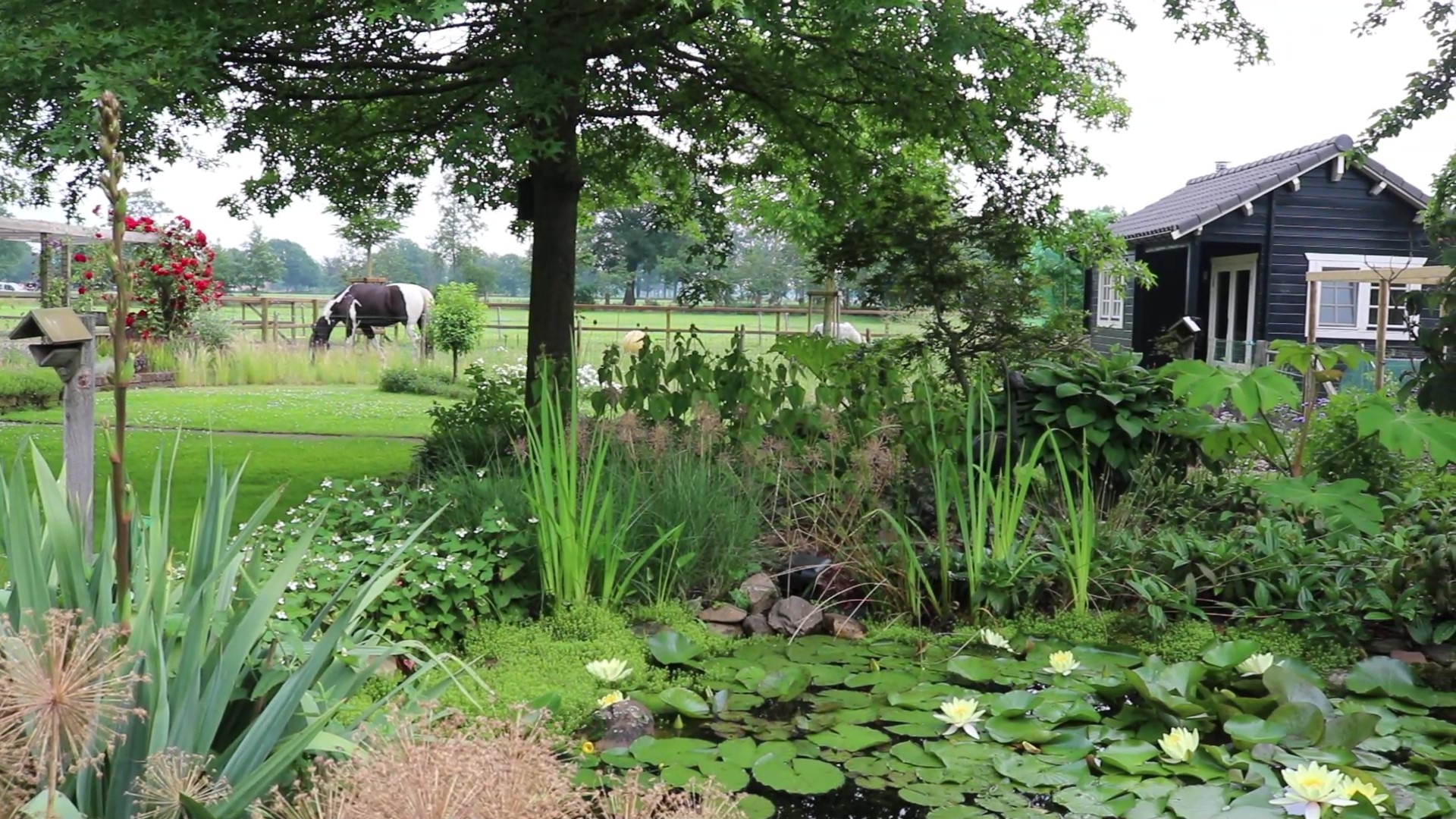 paardencoach gelderland